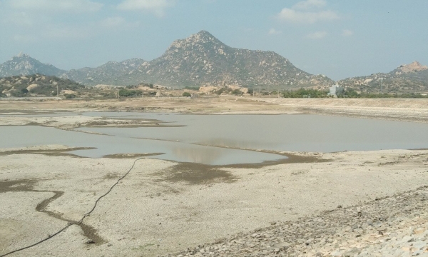 Nhiều hồ chứa ở Ninh Thuận xuống mực nước chết