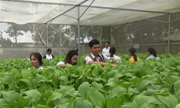 Học sinh Dân tộc nội trú tự trồng rau sạch để cải thiện bữa ăn