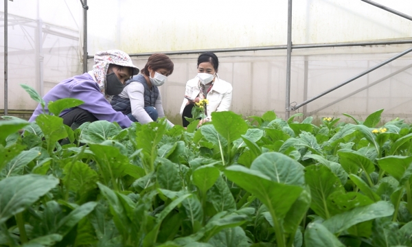 Female farmers - Nucleus of clean agroproduction