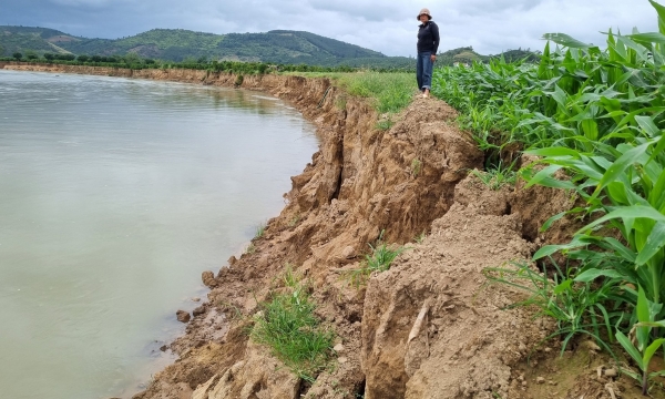 Sông Krông Nô liên tục sạt lở, Đắk Nông 'cầu cứu'