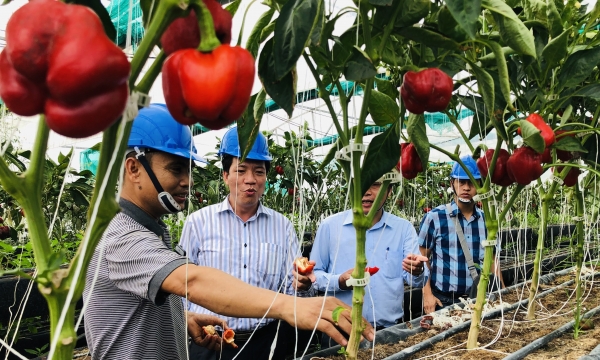 Nông nghiệp Đồng Nai đạt mức tăng trưởng cao nhất khu vực Đông Nam bộ