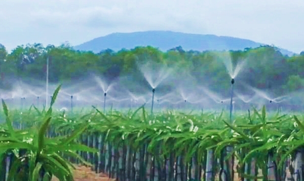 Drip irrigation expands across dry regions