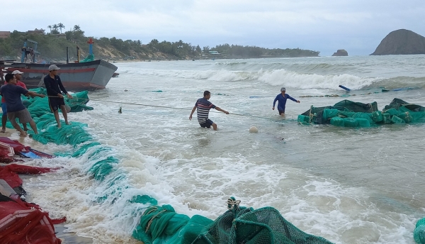 Cage aquaculture not adapt to natural disasters