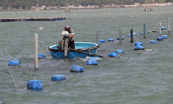 Measures needed for environmental incidents in cage aquaculture