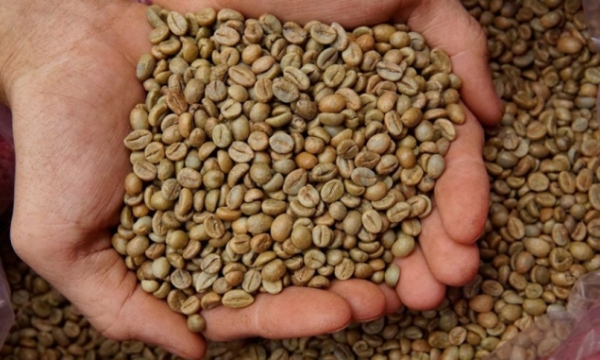 Cà phê Việt Nam nhập vào Trung Quốc: Lượng nhiều nhất, giá thấp nhất