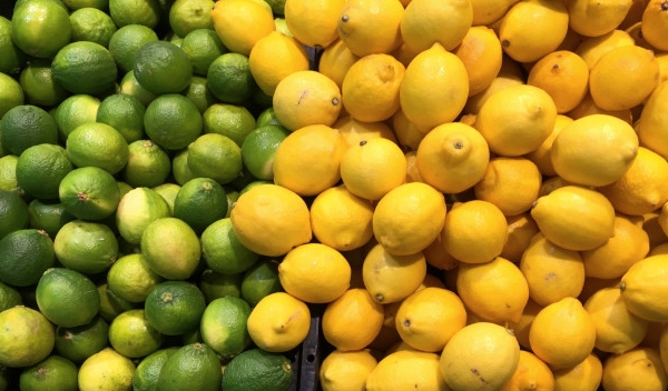 Global demands for fresh lemons to increase in the yearly crop 2020-21