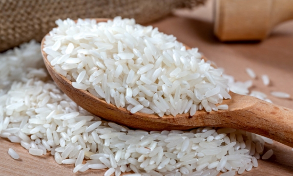 Rice export price reaches record level in 9 years