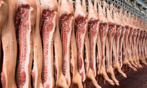 Russian pork accounts for half of pork imports into Vietnam