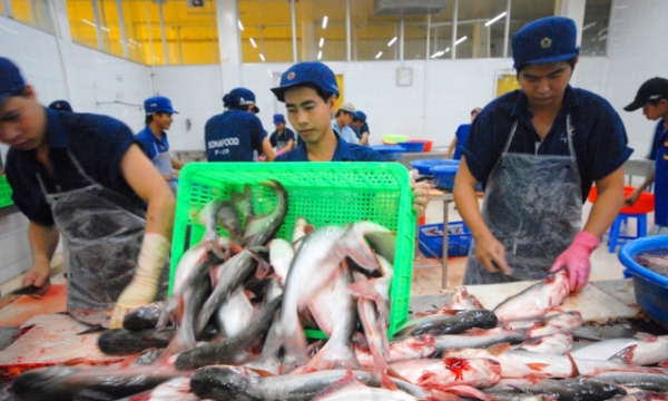 Seafood processors should become eligible for Covid-19 vaccinations