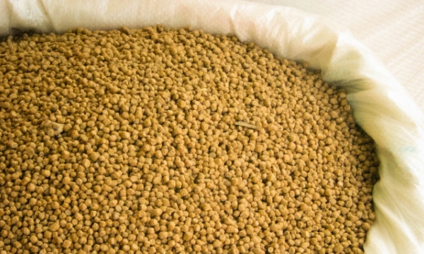 Vietnam’s animal feed exports to China doubled in the first seven months of 2021
