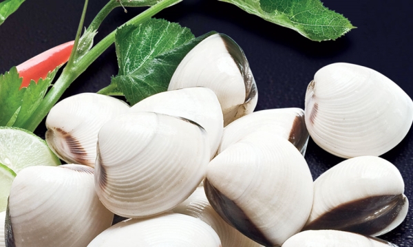 Clam exports maintain a strong increase in August