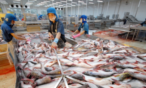 Tra fish strongly shifted to the Middle East market