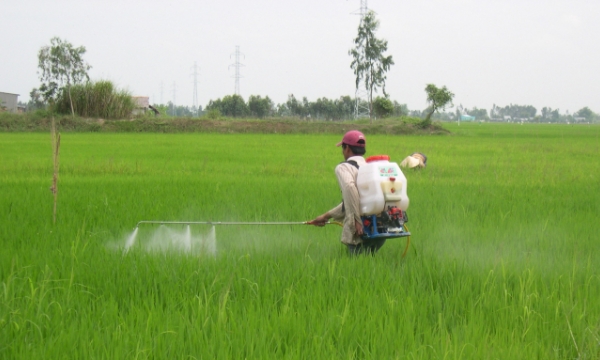 Việt Nam tăng mạnh nhập khẩu thuốc trừ sâu từ Ấn Độ