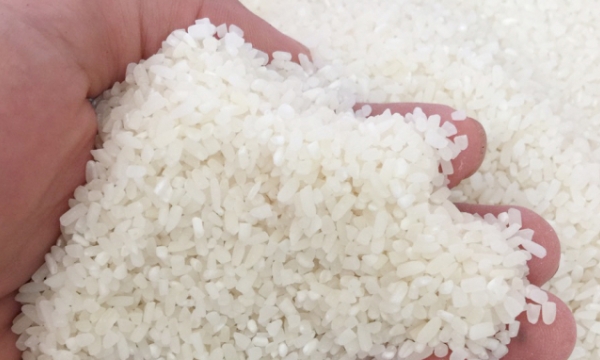 Soaring broken rice prices driven by Russia-Ukraine conflict