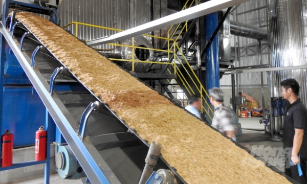 Rubber latex drying cost reduced sharply by using rice husk instead of oil