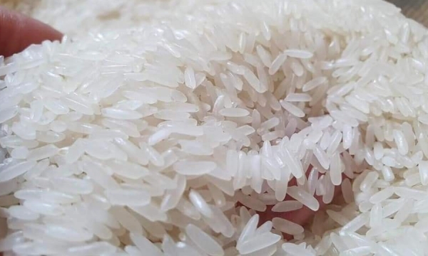 MM Mega Market will not increase the price of rice in August