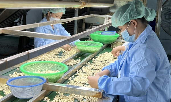 Hướng dẫn về SPS cho doanh nghiệp xuất khẩu nông sản sang Trung Quốc