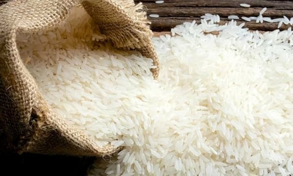 Indonesia sẽ nhập khẩu 2 triệu tấn gạo trong năm nay