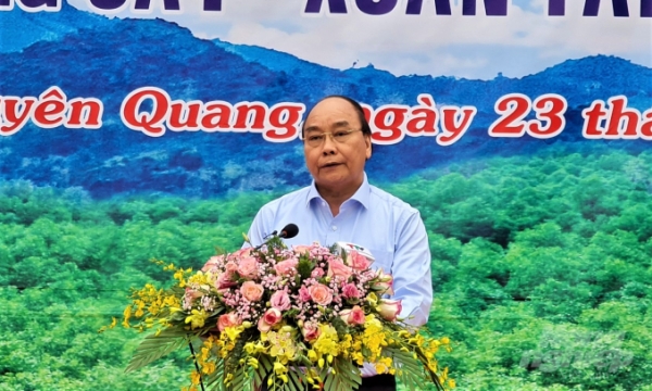 Thủ tướng Nguyễn Xuân Phúc: Phải coi rừng là tài sản quý báu của đất nước