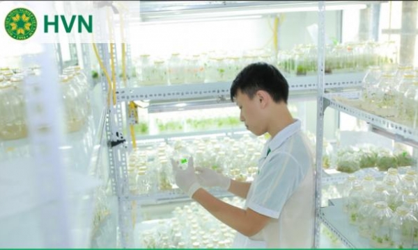 Công nghệ sinh học - ‘cánh tay đắc lực’ cho nông nghiệp công nghệ cao