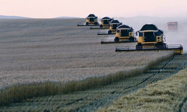 Nga tuyên bố công thức mới tính thuế xuất khẩu lúa mì
