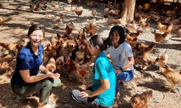 HealthyFarm becomes the first retailer in Vietnam selling only cage-free eggs
