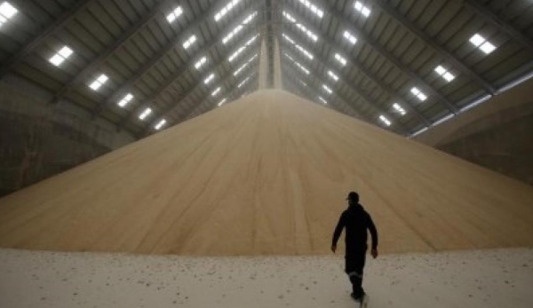 SOFTS-Sugar, coffee and cocoa fall as commodity markets tumble