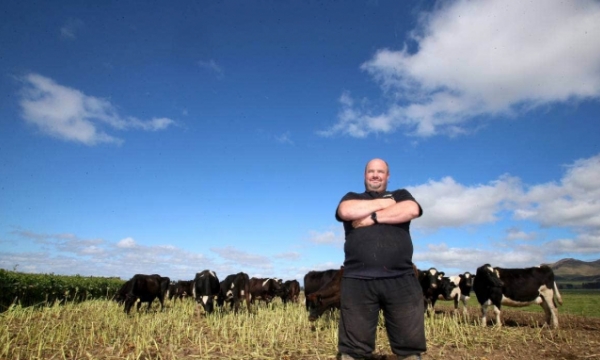 Úc 'săn trộm' lao động nông nghiệp của New Zealand
