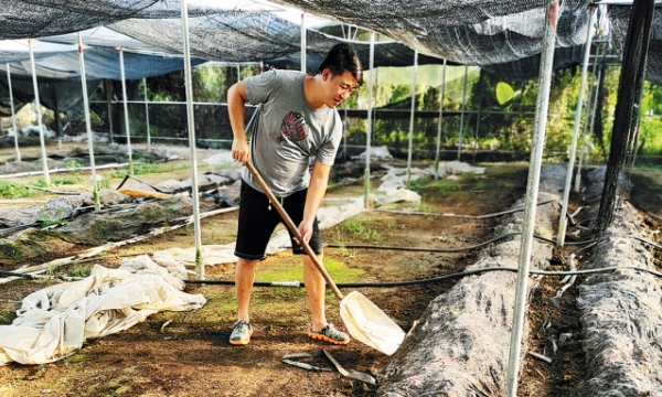 Nông dân Hồng Kông thu lãi 'khủng' từ nuôi trùn quế ở Trung Quốc