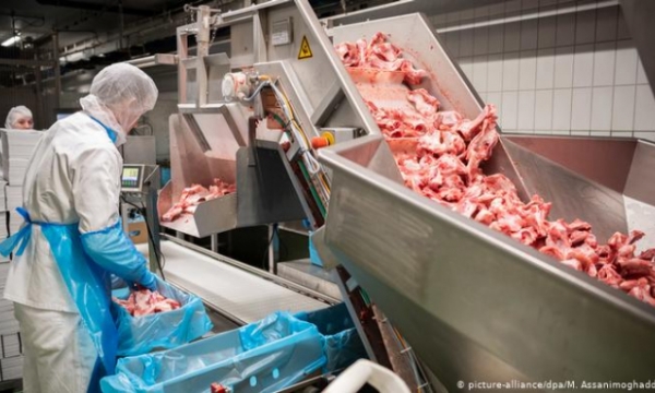 EU 'bó tay' với vấn đề bóc lột lao động trong ngành thịt