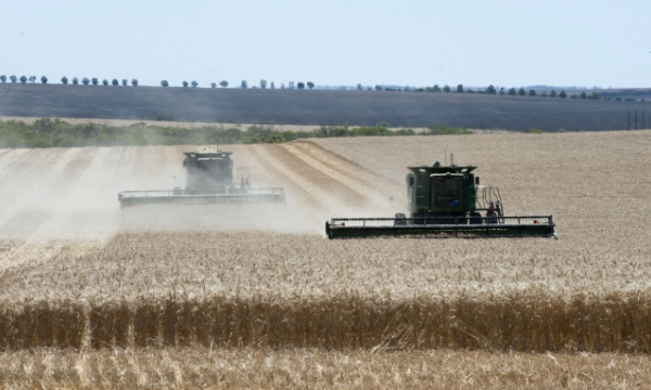Lúa mì Úc chiếm lĩnh thị trường châu Á trong niên vụ 2021/22