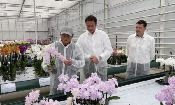 Jack Ma theo đuổi đam mê công nghệ hóa nông nghiệp sau khi nghỉ hưu