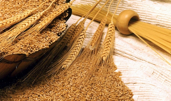 Cảnh báo: Thị trường lúa mì thế giới chuẩn bị nhận cú sốc
