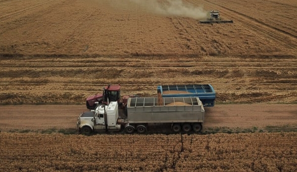 Tổng sản lượng nông nghiệp Úc dự báo cao nhất lịch sử