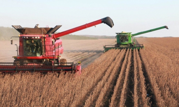 Trung Quốc: Tỉnh Hắc Long Giang tăng sản lượng đậu tương thêm 1,3 triệu tấn/năm