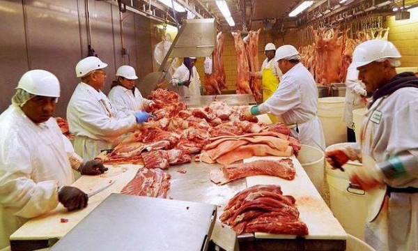 Ấn Độ cho phép nhập thịt lợn từ Mỹ để đổi lấy xuất khẩu xoài, lựu