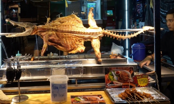 Thái Lan: Lợn tăng giá mạnh, người dân chuyển sang ăn thịt cá sấu