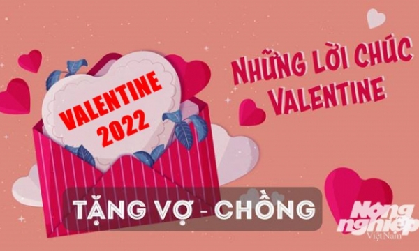 Lời chúc Valentine 2023 hay và ý nghĩa dành tặng vợ, chồng