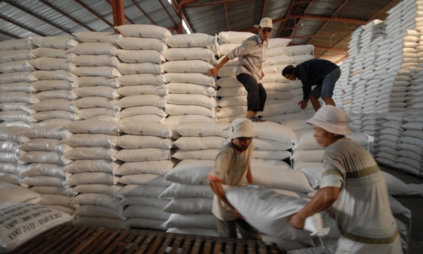 Xuất khẩu gạo sẽ tăng mạnh từ tháng 3