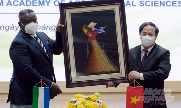 Making agriculture a pillar of bilateral cooperation between Vietnam and Sierra Leone