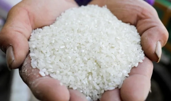 Nhu cầu dùng gạo làm thức ăn chăn nuôi ở châu Á tăng mạnh