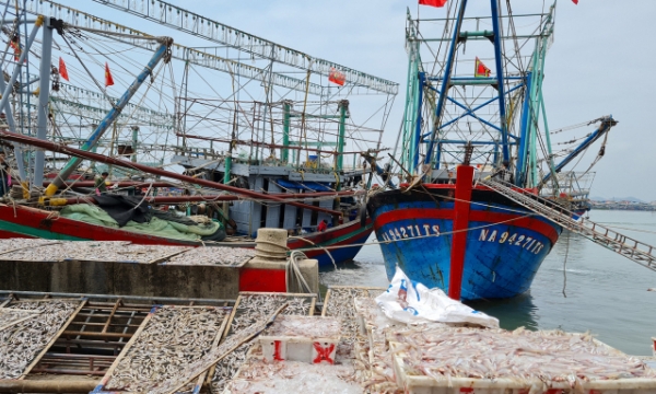 Nghe An sets out plan for developing the fishery industry
