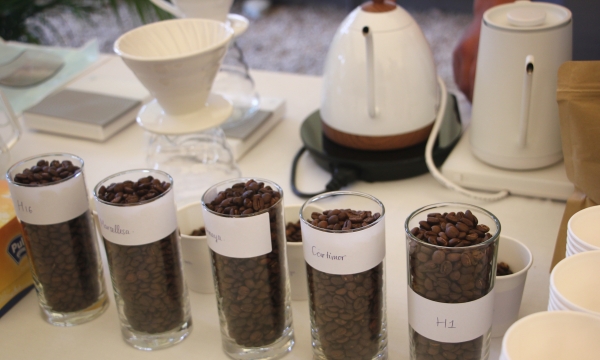 Promoting Vietnamese arabica coffee value chain to the international market