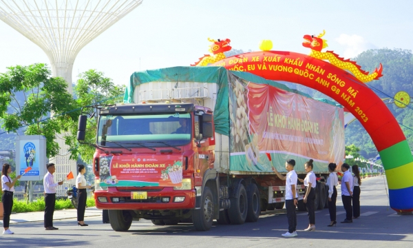 The first shipment of longan exported by Song Ma conquers three significant markets
