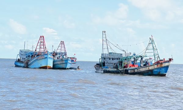 4.4 billion VND fined over IUU fishing violations in Ca Mau