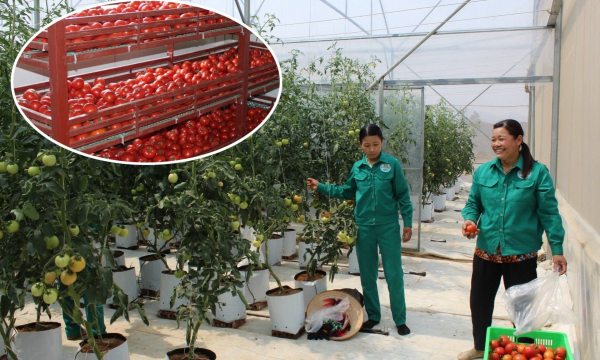 Nam Po turns from an arid hilland to high-tech agricultural region