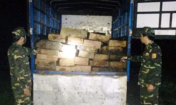 TT-Huế: Phát hiện xe tải vận chuyển  gỗ trái phép trong đêm