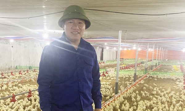 Grand investment in high-tech chicken farms