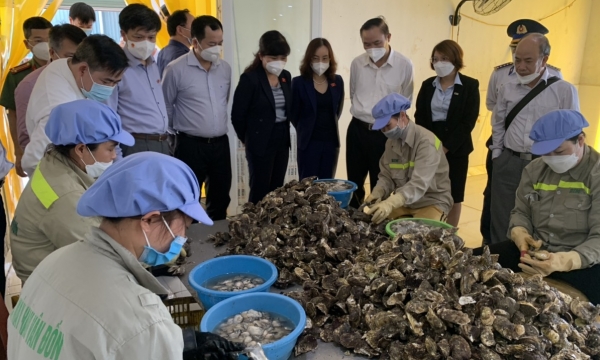 All seafood processing factories in Quang Ninh adhere to food safety and hygiene regulations