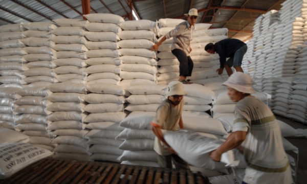 Rice exports will increase sharply from March